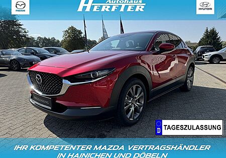 Mazda CX-30 X 186PS SELECTION DES-P E-HECKKLAPPE MATRI