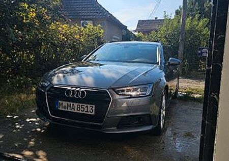 Audi A4 2.0 TDI ultra S tronic *Sportfahrwerk*Matrix