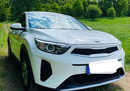 Kia Stonic 1.2 Vision Vision