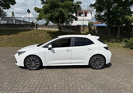 Toyota Corolla Hybrid Team D Standheizung 1.Hand Bi-LED
