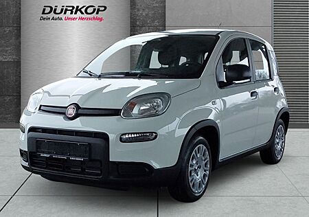 Fiat New Panda Mild Hybrid Pandina 1.0,City Paket,USB