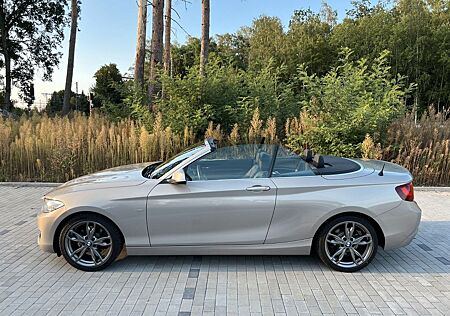 BMW 220d Cabrio Luxury Line (Xenon, Leder, Memory)