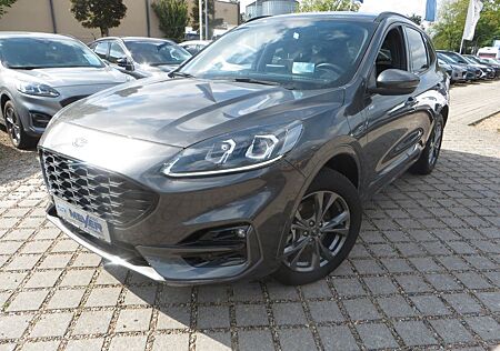 Ford Kuga Plug-In Hybrid ST-Line X , Kamera