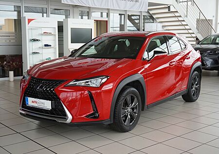 Lexus UX 250h Navi LED Kamera Lenkradhzg.