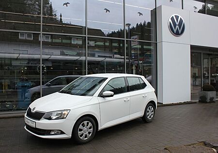 Skoda Fabia Ambition Green tec 1.0 Klima,GRA,NSW