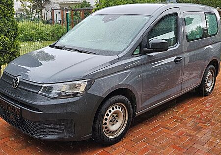 VW Caddy Volkswagen 2,0TDI 90kW DSG LKW 2-Sitzer