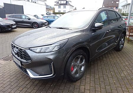 Ford Kuga PHEV ST-Line X Kamera360