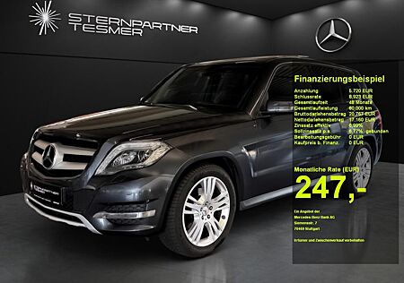 Mercedes-Benz GLK 220 CDI Panorama - AHK - el. Heckdeckel