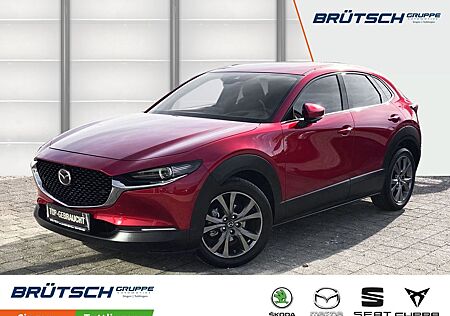 Mazda CX-30 Selection AWD AUTOMATIK / HEAD-UP / KAMERA