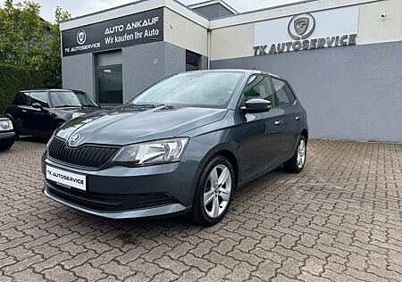 Skoda Fabia Cool Edition *1.Hand*Tüv Neu*PDC hinten*
