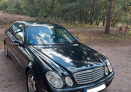 Mercedes-Benz E 220 CDI ELEGANCE Elegance