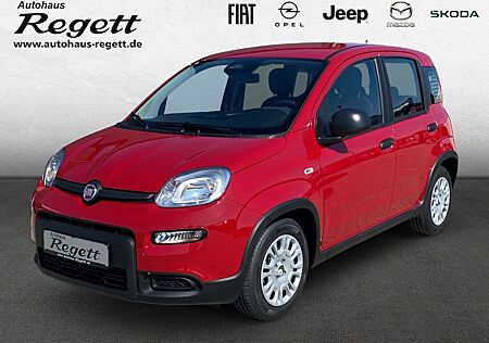 Fiat Panda Pandina 1.0 Mild Hybrid EU6d DAB Spurhalte