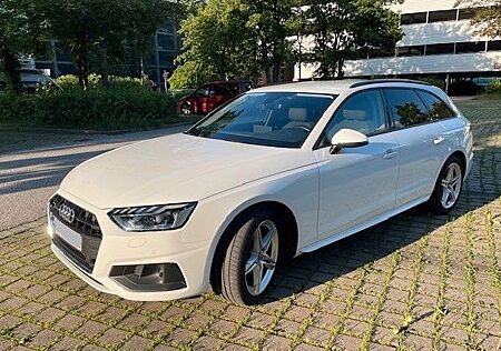 Audi A4 Av 40 TDI Qu, Str, Navi, AHK, Standhz, 18-Zol