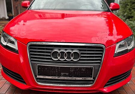 Audi A3 1.6 Ambition Cabriolet Ambition