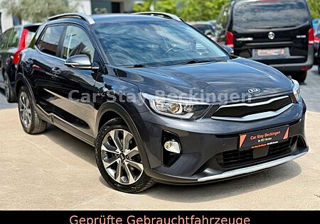Kia Stonic Platinum Edition/NAVI/LENKRADHEIZUNG/TEMP