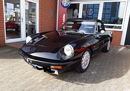 Alfa Romeo Spider