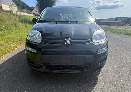 Fiat Panda Easy