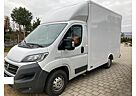 Fiat Ducato 250 Luftfahrwerk Koffer Kofferaufbau