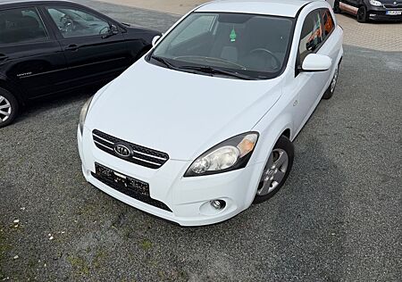 Kia Pro_ceed pro_cee'd / ProCeed 1.6 CVVT Spirit pro_cee'd