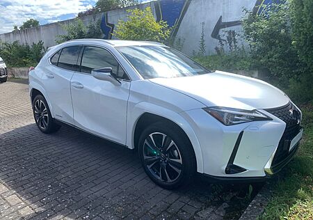 Lexus UX 250 h Style Edition, ACC, Kamera, LED