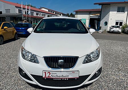 Seat Ibiza SC Copa