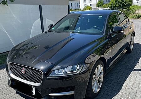 Jaguar XF 30d 300PS R-Sport Automatik R-Sport