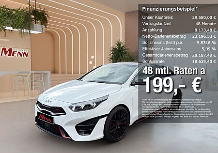 Kia Pro_ceed ProCeed GT 1.6 T-GDI Bastuck Glasdach AHK Memory