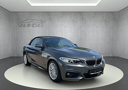 BMW 218 d Cabrio M Sport Navi/Leder/Keyless/1.Hand