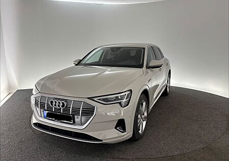 Audi e-tron 50 quattro advanced 360 Grad Kamera KeyLe