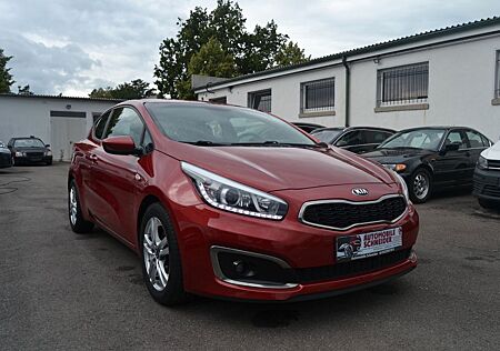 Kia ANDERE ProCeed Spirit