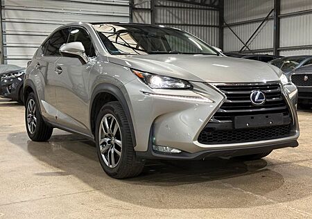 Lexus NX 300 300h Sport Line E-FOUR