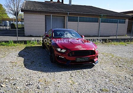 Ford Mustang GT Fastback-50 Years EDiTiON-COYOTE-CARB