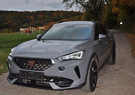 Cupra Formentor VZ 4Drive BEATS, AHK, Brembo, Memory