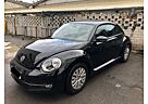 VW Beetle Volkswagen 1.2 TSI BMT ALLSTAR ALLSTAR