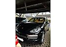 Porsche Cayenne Diesel Platinum Edition Platinum Edition