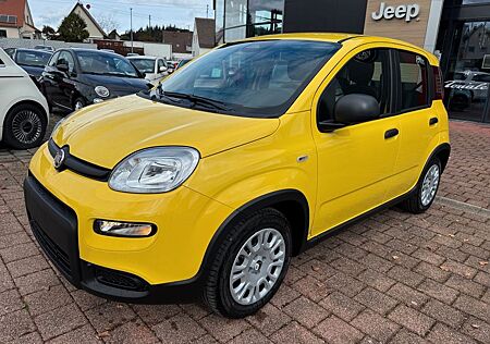 Fiat Panda Pandina Hybrid 1.0 GSE 51kw (70PS) Gelb