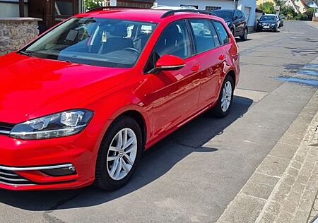 VW Golf Volkswagen VII Variant 1.6 Comfort. AHK schwenkbar