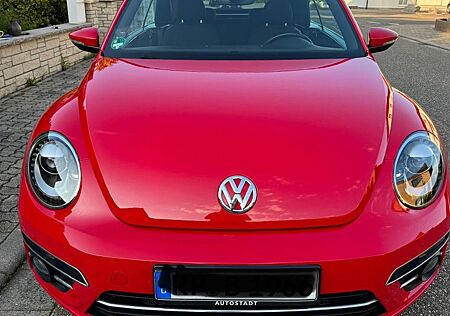 VW Beetle Volkswagen 1.2 TSI BMT SOUND Cabriolet 1. Hand