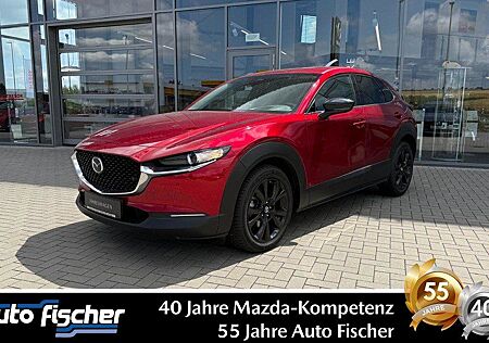 Mazda CX-30 2.0 (186PS) FWD Autom. Homura Sitzheizung