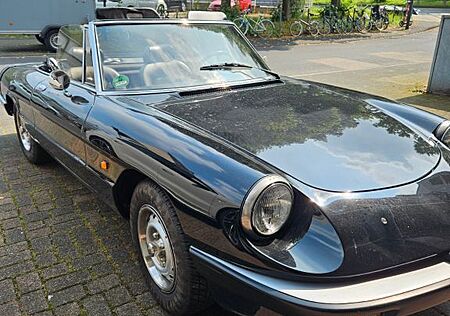 Alfa Romeo Spider