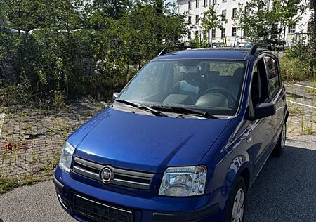Fiat Panda - Zuverlässiger Stadtflitzer mit Stil
