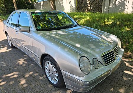 Mercedes-Benz E 220 CDI ELEGANCE Elegance