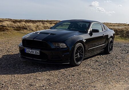 Ford Mustang V6 Shelby-Optik Fahrwerk TOP