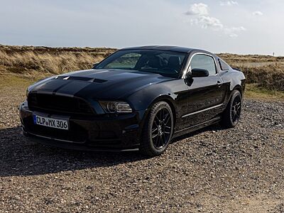 Ford Mustang V6 Shelby-Optik Fahrwerk TOP