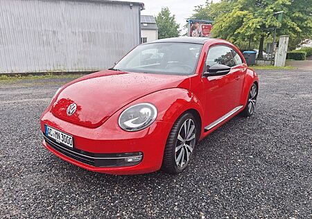 VW Beetle Volkswagen Lim. Sport Panoramadach Standheizung