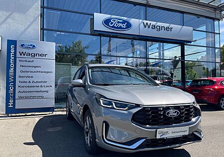 Ford Kuga Hybrid ST-Line X*LED*WINTERPAKET*