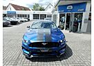 Ford Mustang 3,7 L SHELBY"OPTIK