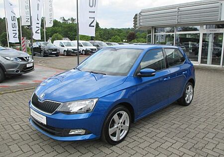 Skoda Fabia 1.0 TSI Ambition Green tec - 8fach-Bereifu