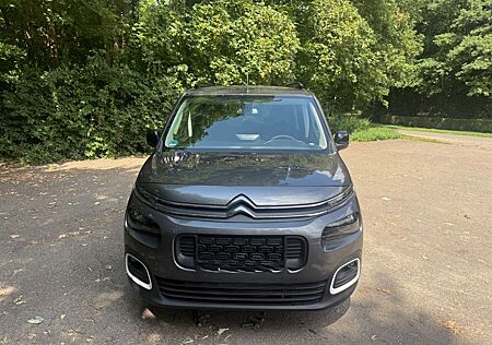 Citroën Berlingo PureTech 130 S&S RIP CURL M EAT8 RI...