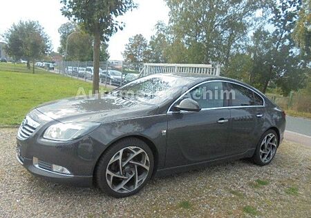 Opel Insignia 2.0 CDTI OPC-Line LEDER+NAVI+XENON